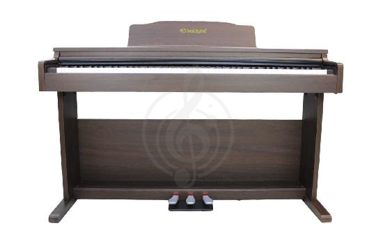 Перейти к просмотру Solista DP200BR Изображение Solista DP200BR