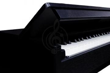 Цифровое пианино Solista DP600BK - Цифровое пианино, Solista DP600BK в магазине DominantaMusic - фото 6