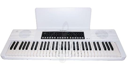 Домашний синтезатор Solista SK-61 WH - Синтезатор,  SK-61 WH в магазине DominantaMusic - фото 1