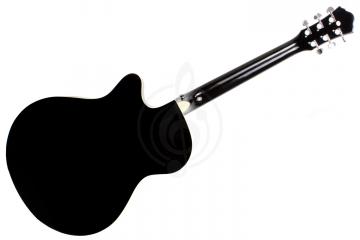 Акустическая гитара Акустические гитары Solista Solista SO-4010 BK - Акустическая гитара SO-4010 BK - фото 2