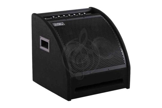 Комбо для ударных Soundking DS200 - Монитор для электронной ударной установки, Soundking DS200 в магазине Доминанта мьюзик - фото 4