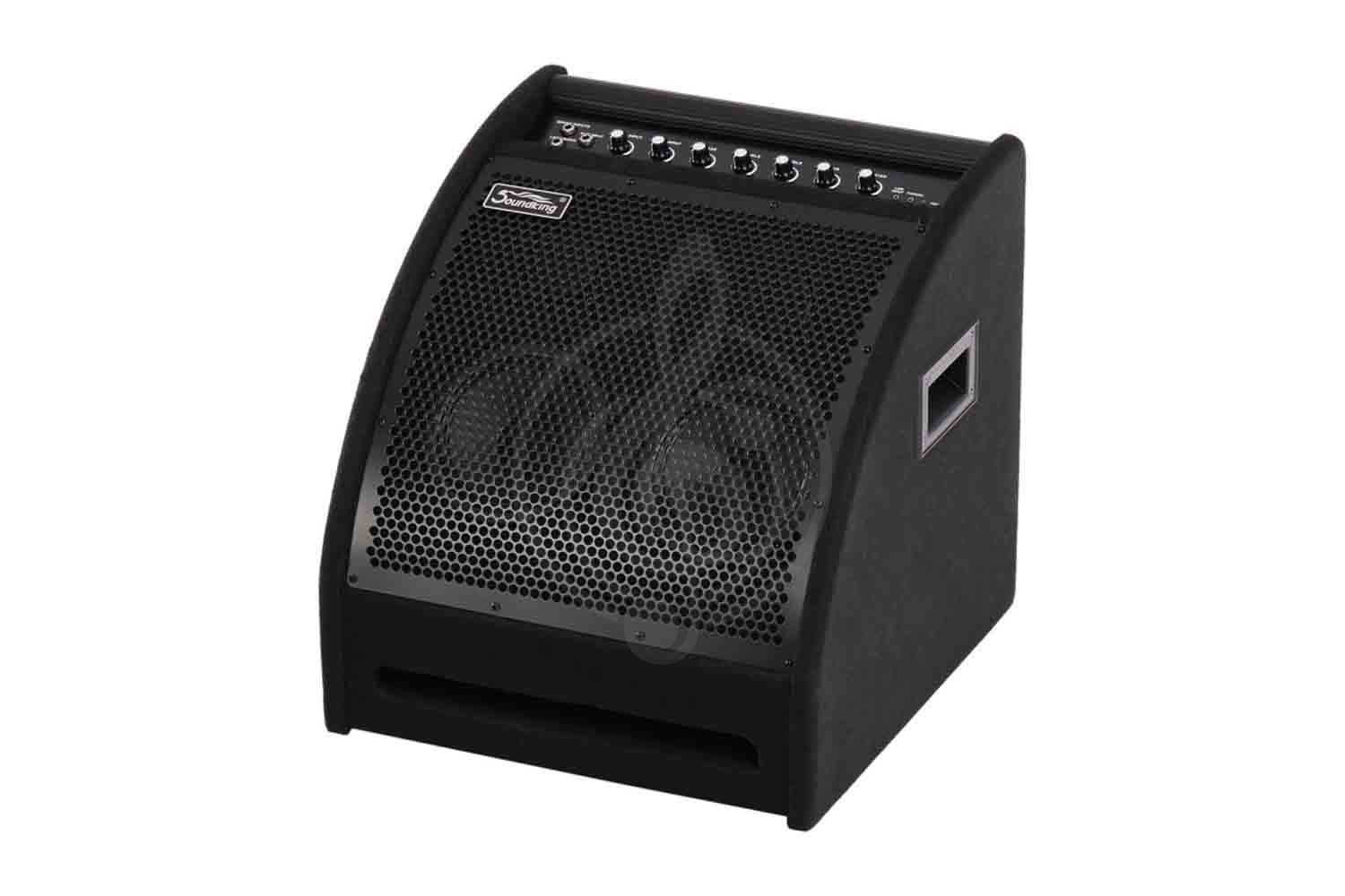 Комбо для ударных Soundking DS200 - Монитор для электронной ударной установки, Soundking DS200 в магазине Доминанта мьюзик - фото 1