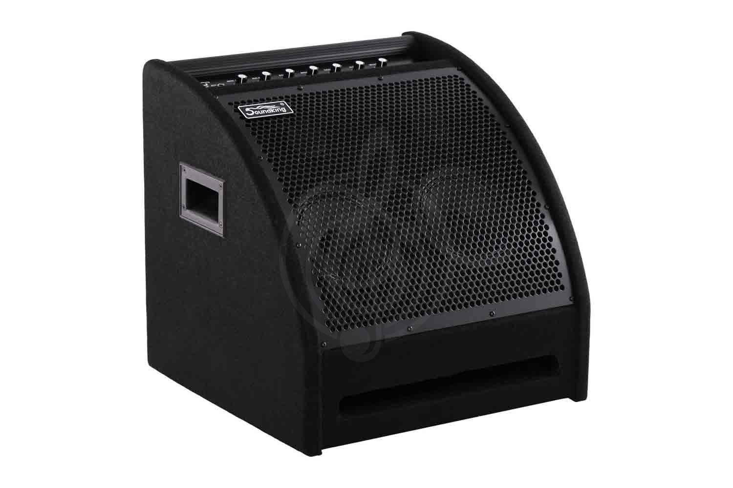 Комбо для ударных Soundking DS200 - Монитор для электронной ударной установки, Soundking DS200 в магазине Доминанта мьюзик - фото 4