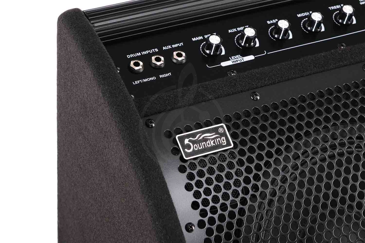 Комбо для ударных Soundking DS50 - Монитор для электронной ударной установки, Soundking DS50 в магазине Доминанта мьюзик - фото 6
