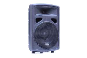 Изображение Soundking FP0210 - Пассивная акустическая система