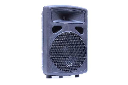 Пассивная акустическая система Soundking FP0210 - Пассивная акустическая система, Soundking FP0210 в магазине Доминанта мьюзик - фото 1
