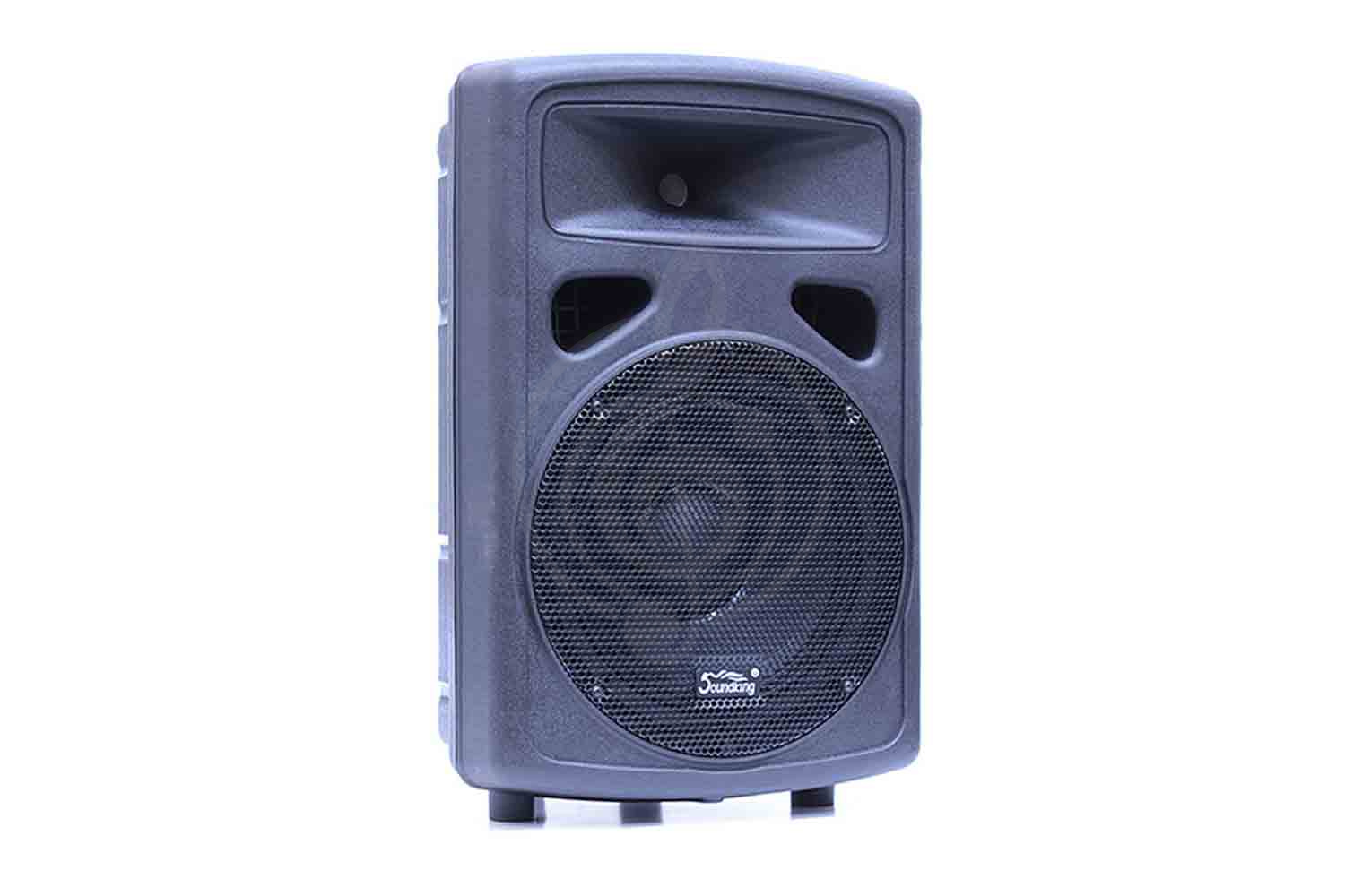Пассивная акустическая система Soundking FP0210 - Пассивная акустическая система, Soundking FP0210 в магазине Доминанта мьюзик - фото 1