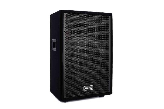 Активная акустическая система Soundking J212A - Активная акустическая система, Soundking J212A в магазине Доминанта мьюзик - фото 1