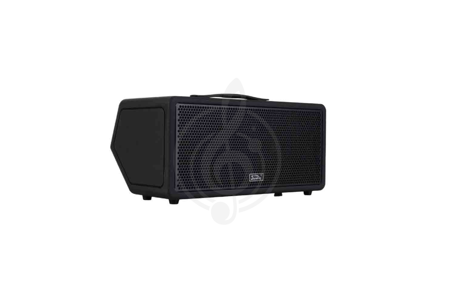 Комбоусилитель для электрогитары Soundking K100-Soundking - Комбоусилитель гитарный, портативный, Soundking K100-Soundking в магазине Доминанта мьюзик - фото 1