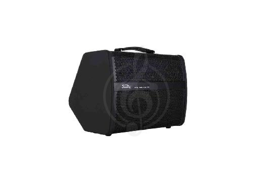 Изображение Soundking K240