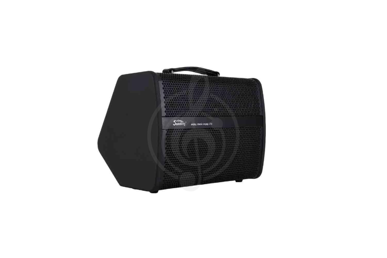 Комбоусилитель для электрогитары Soundking K240 - Комбоусилитель гитарный, Soundking K240 в магазине Доминанта мьюзик - фото 1