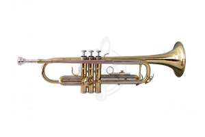 Изображение Soundsation STPGD-10 (S624S) - Труба Bb