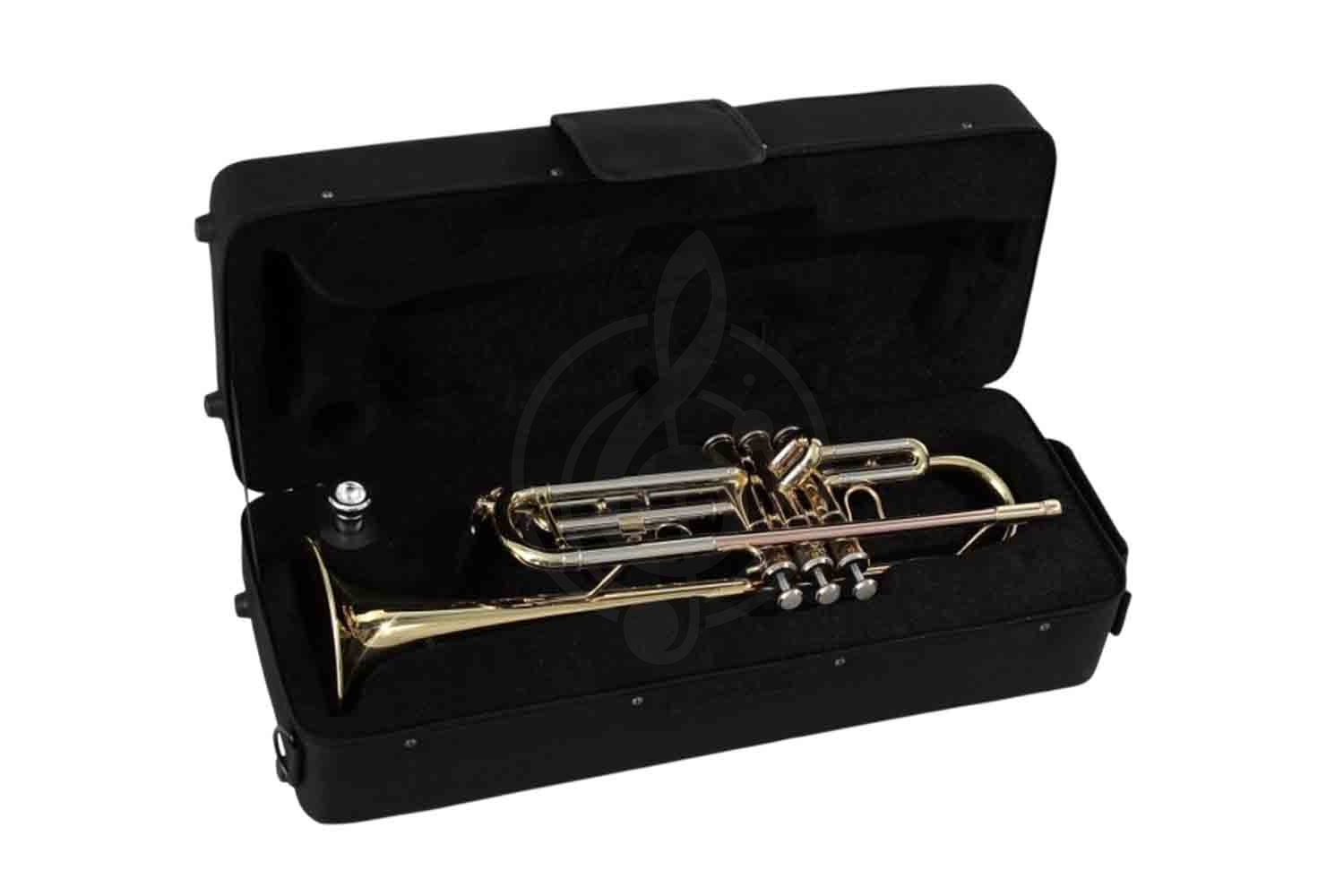 Труба Soundsation STPGD-10 (S624S) - Труба Bb, Soundsation STPGD-10 в магазине Доминанта мьюзик - фото 2