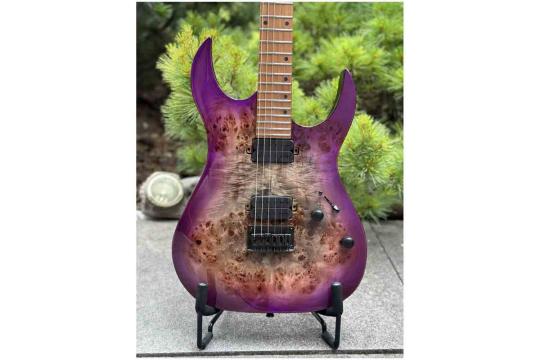 Электрогитара Superstrat SPIRA S-450 TPP - Электрогитара,  S-450 TPP в магазине DominantaMusic - фото 6