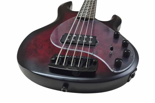Бас-гитара STERLING StingRay HH Dark Scarlet Burst - Бас-гитара 4 струны,  StingRay HH Dark Scarlet Burst в магазине DominantaMusic - фото 2