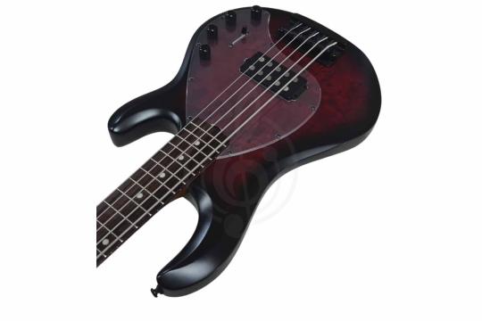 Бас-гитара STERLING StingRay HH Dark Scarlet Burst - Бас-гитара 4 струны,  StingRay HH Dark Scarlet Burst в магазине DominantaMusic - фото 3