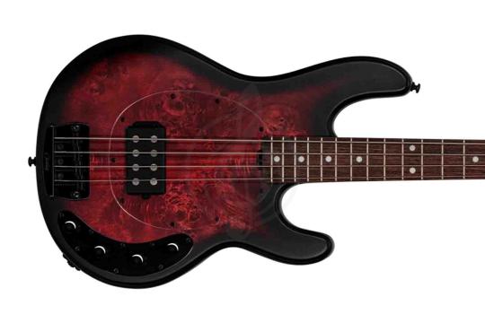 Бас-гитара STERLING StingRay HH Dark Scarlet Burst - Бас-гитара 4 струны,  StingRay HH Dark Scarlet Burst в магазине DominantaMusic - фото 7
