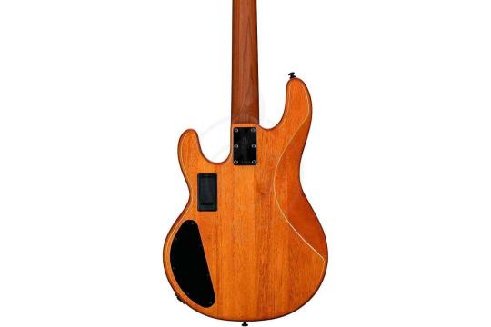 Бас-гитара STERLING StingRay HH Poplar Burl Top Amber - Бас-гитара 4 струны,  StingRay HH Poplar Burl Top Amber в магазине DominantaMusic - фото 2