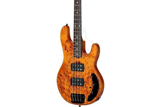 Бас-гитара STERLING StingRay HH Poplar Burl Top Amber - Бас-гитара 4 струны,  StingRay HH Poplar Burl Top Amber в магазине DominantaMusic - фото 4