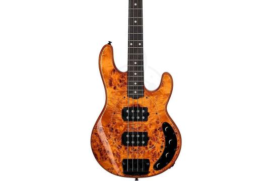 Бас-гитара STERLING StingRay HH Poplar Burl Top Amber - Бас-гитара 4 струны,  StingRay HH Poplar Burl Top Amber в магазине DominantaMusic - фото 5