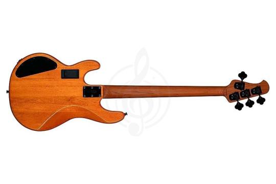 Бас-гитара STERLING StingRay HH Poplar Burl Top Amber - Бас-гитара 4 струны,  StingRay HH Poplar Burl Top Amber в магазине DominantaMusic - фото 6