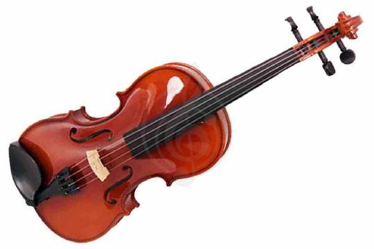 Скрипка 1/2 Strunal 150-1/2 - Скрипка 1/2, Strunal 150-1/2 в магазине DominantaMusic - фото 1