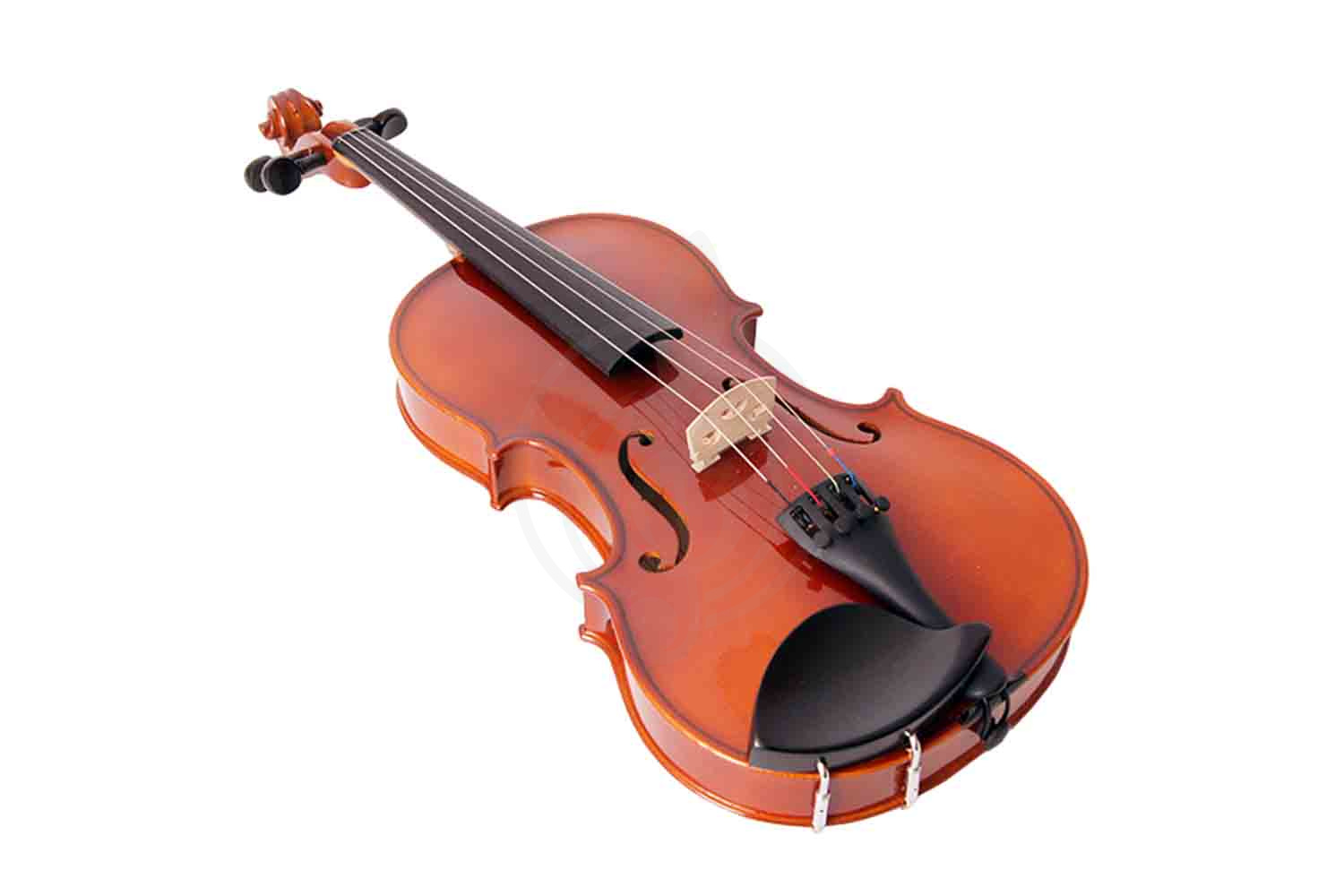 Скрипка 1/2 Strunal 150-1/2 - Скрипка 1/2, Strunal 150-1/2 в магазине DominantaMusic - фото 2