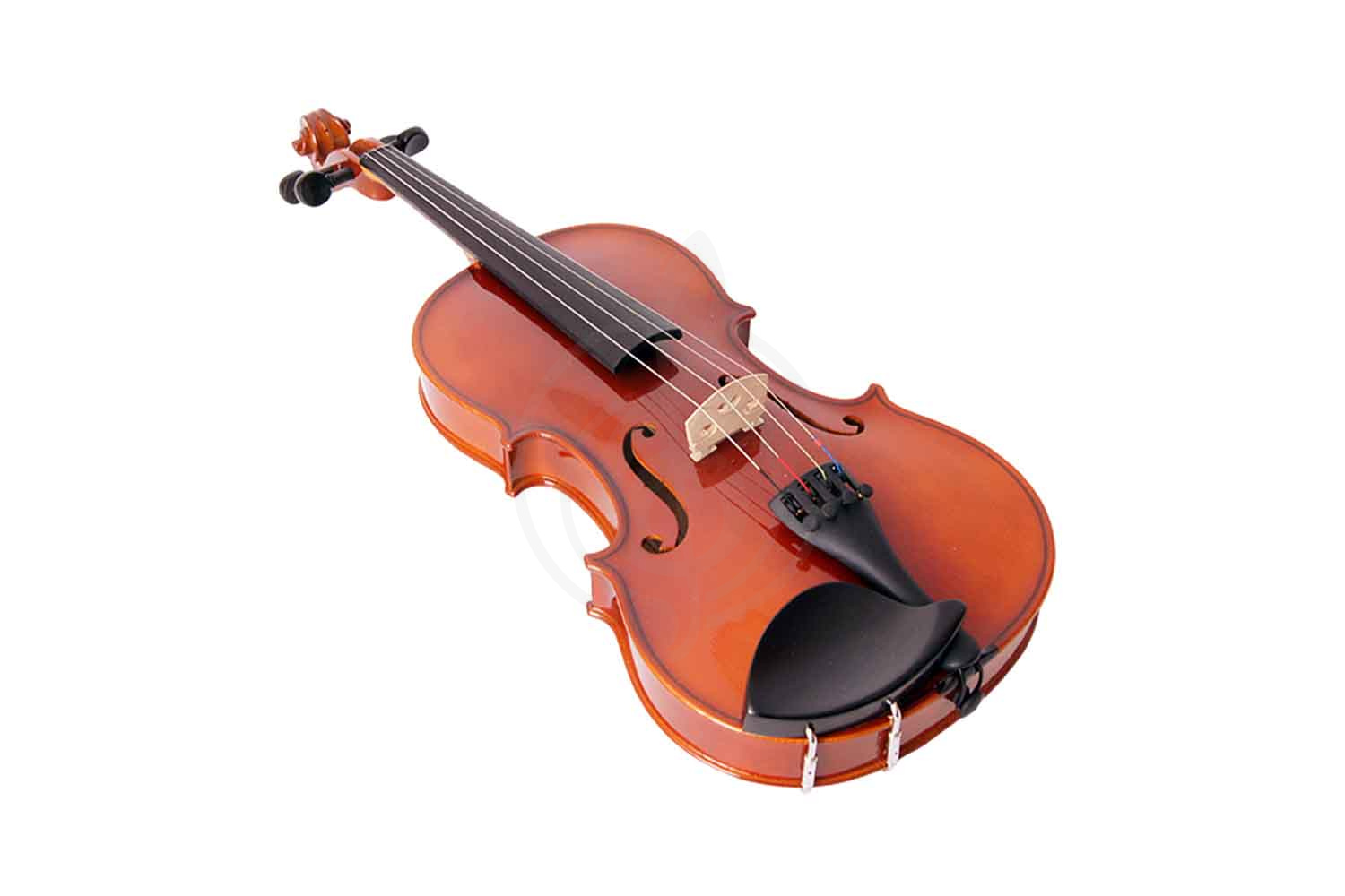 Скрипка 3/4 Strunal 150-3/4 - Скрипка 3/4, Strunal 150-3/4 в магазине DominantaMusic - фото 2