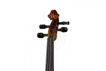 Скрипка 3/4 Strunal 150A-3/4 Verona - Скрипка 3/4, Strunal 150A-3/4 в магазине DominantaMusic - фото 3