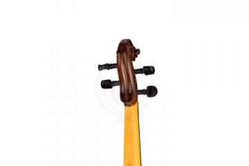 Скрипка 1/2 Strunal 160A-1/2 Siena - Скрипка 1/2, Strunal 160A-1/2 в магазине DominantaMusic - фото 6