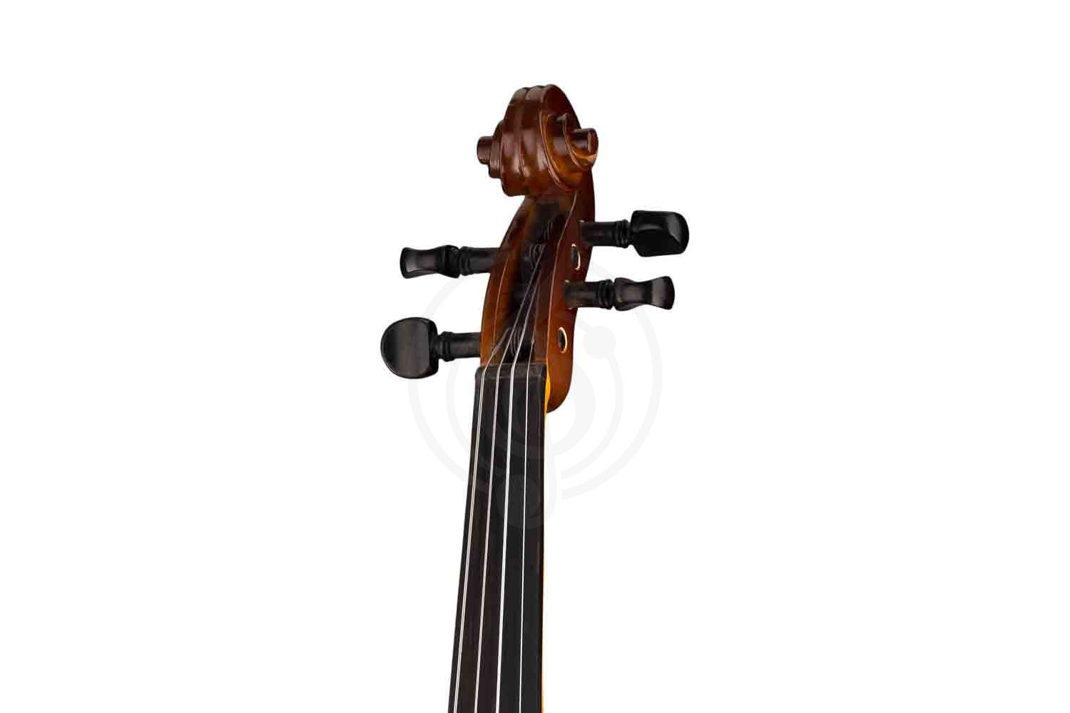 Скрипка 1/2 Strunal 160A-1/2 Siena - Скрипка 1/2, Strunal 160A-1/2 в магазине DominantaMusic - фото 3