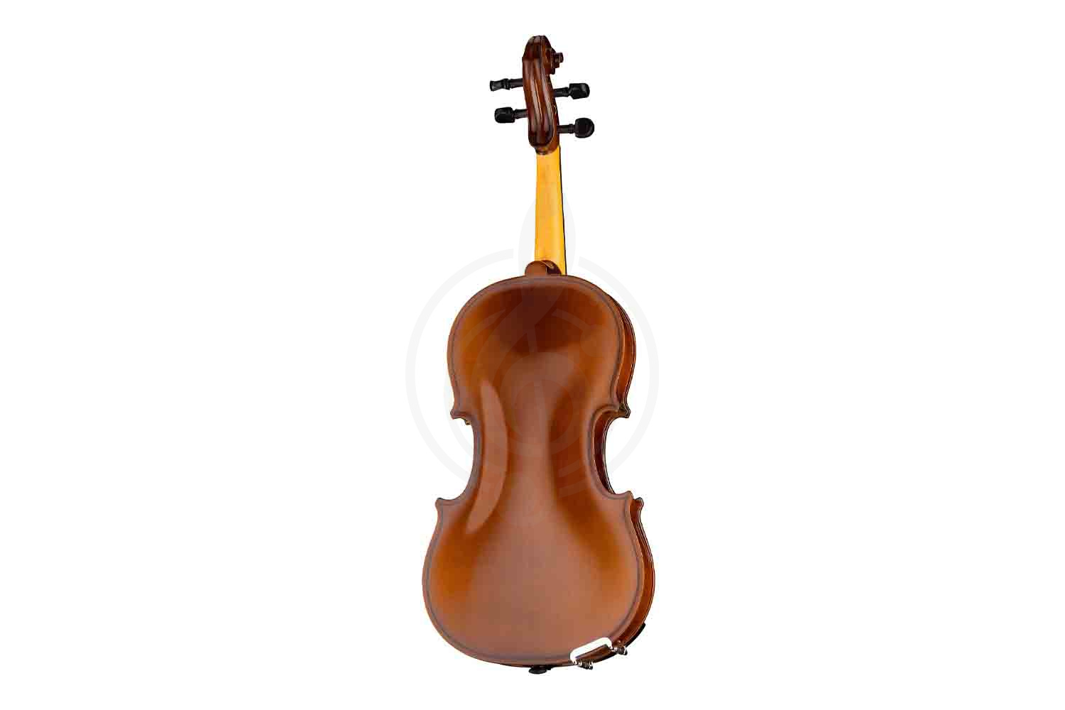 Скрипка 1/2 Strunal 160A-1/2 Siena - Скрипка 1/2, Strunal 160A-1/2 в магазине DominantaMusic - фото 5