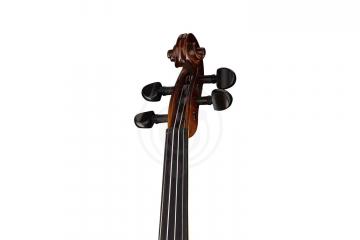 Скрипка 3/4 Strunal 160A-3/4 Siena - Скрипка 3/4, Strunal 160A-3/4 в магазине DominantaMusic - фото 3