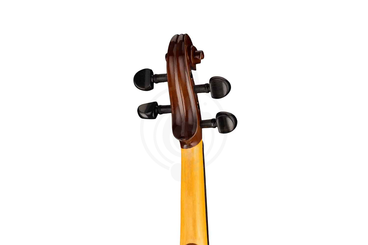 Скрипка 3/4 Strunal 160A-3/4 Siena - Скрипка 3/4, Strunal 160A-3/4 в магазине DominantaMusic - фото 6