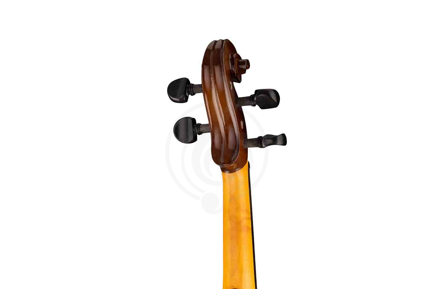 Скрипка 4/4 Strunal 160A-4/4 Siena - Скрипка 4/4, Strunal 160A-4/4 в магазине DominantaMusic - фото 6
