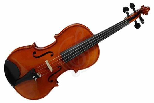 Скрипка 1/2 Strunal 1750-1/2 - Скрипка 1/2, Strunal 1750-1/2 в магазине DominantaMusic - фото 1