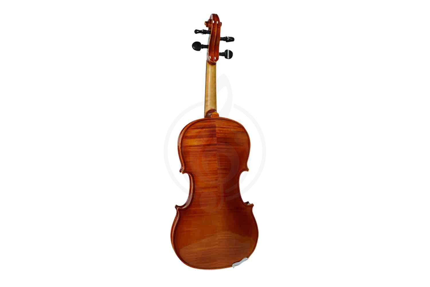 Скрипка 1/2 Strunal 1750-1/2 - Скрипка 1/2, Strunal 1750-1/2 в магазине DominantaMusic - фото 2