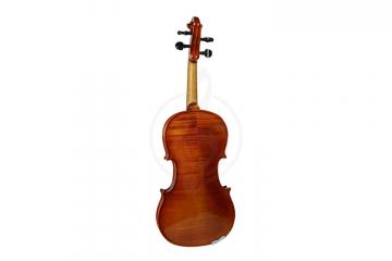 Скрипка 3/4 Strunal 1750-3/4 - Скрипка 3/4, Strunal 1750-3/4 в магазине DominantaMusic - фото 2