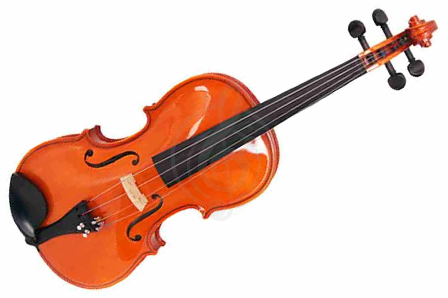 Скрипка 4/4 Strunal 1750-4/4 - Скрипка 4/4, Strunal 1750-4/4 в магазине DominantaMusic - фото 1
