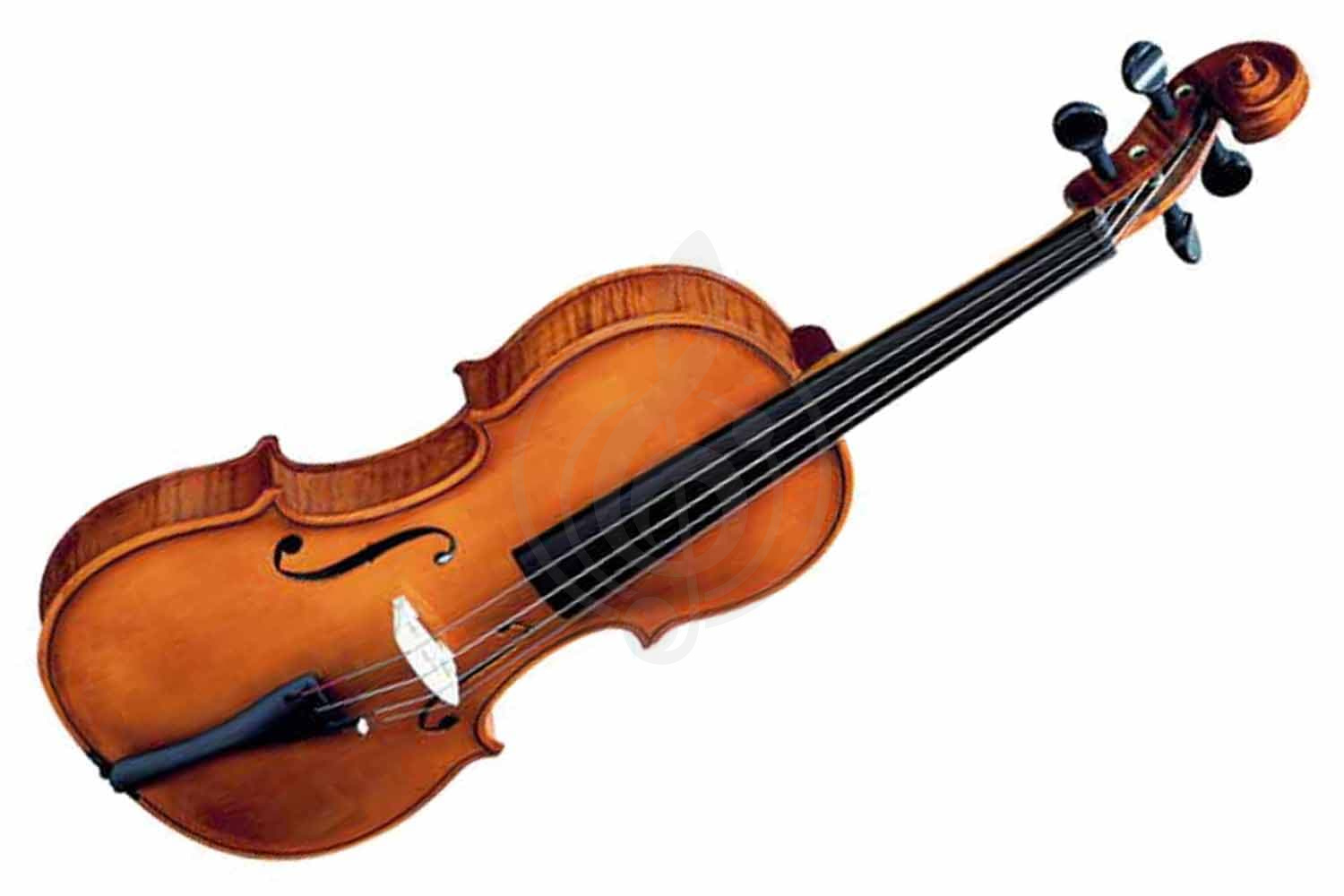 Скрипка 1/2 Strunal 1930-1/2 - Скрипка 1/2, Strunal 1930-1/2 в магазине DominantaMusic - фото 1