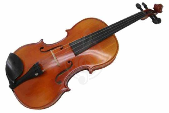 Скрипка 1/2 Strunal 22wA-2/4 - Скрипка, Strunal 22wA-2/4 в магазине DominantaMusic - фото 1
