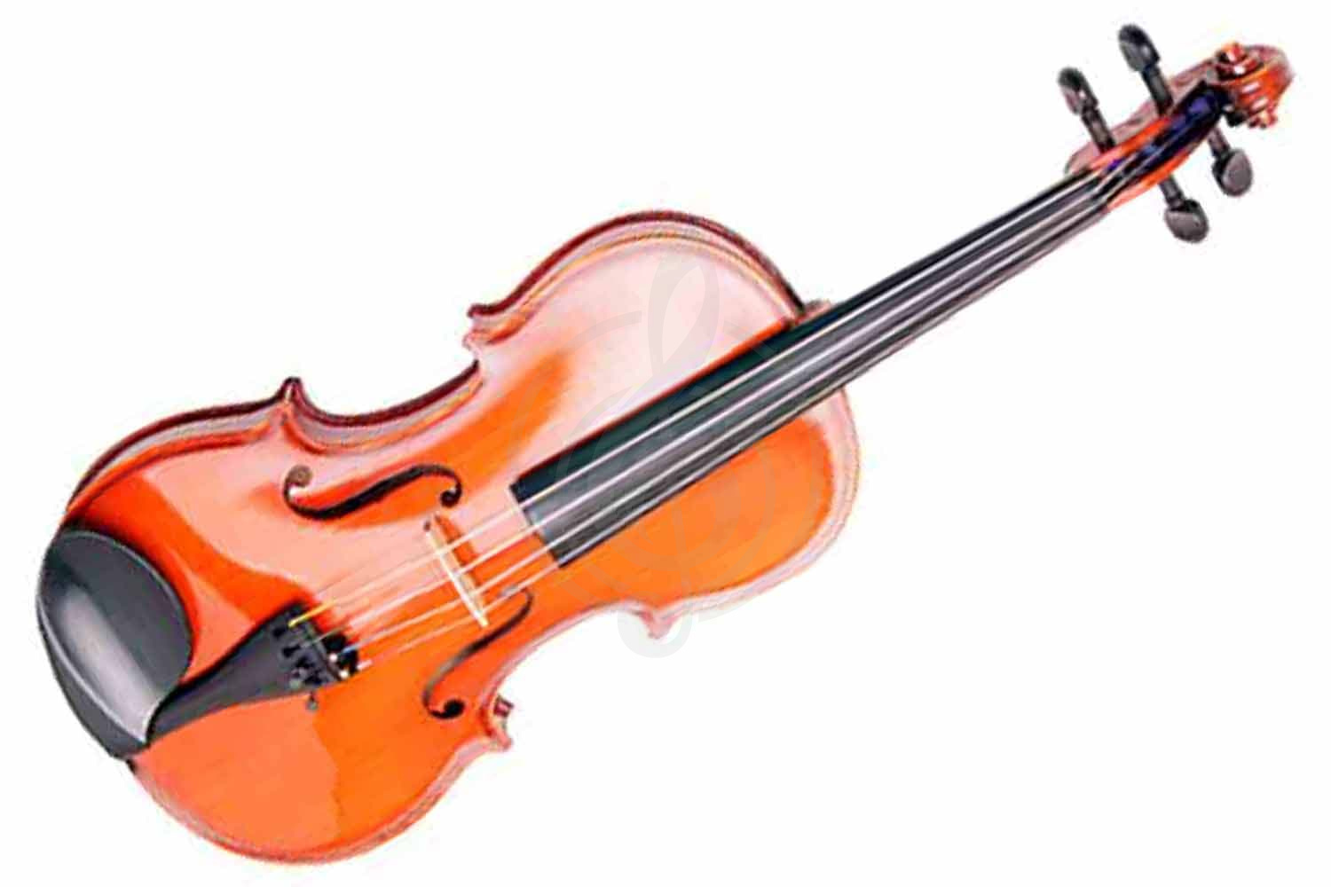Скрипка 4/4 Strunal 331W - Скрипка 4/4, Strunal 331W в магазине DominantaMusic - фото 1