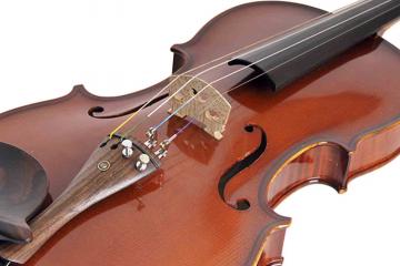 Скрипка 4/4 Strunal 333w-4/4 - Скрипка 4/4, Strunal 333w-4/4 в магазине DominantaMusic - фото 2