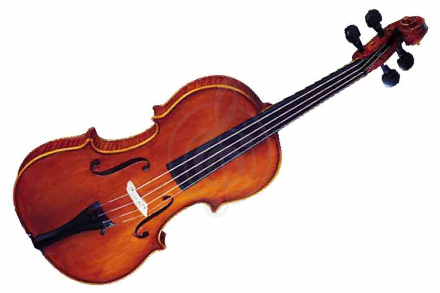 Скрипка 4/4 Strunal 3350-4/4 - Скрипка 4/4, Strunal 3350-4/4 в магазине DominantaMusic - фото 1