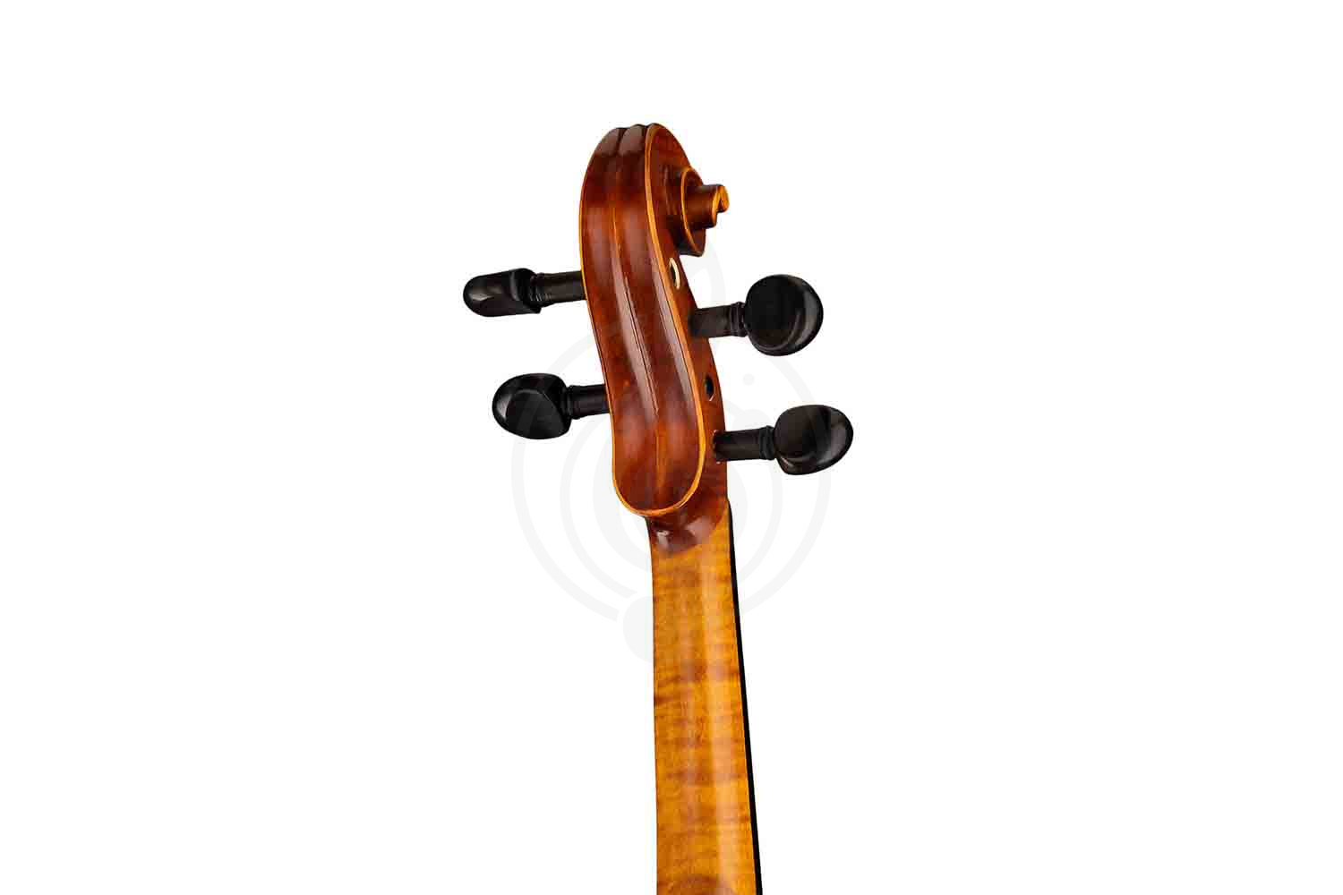 Скрипка 4/4 Strunal 337W-4/4 - Скрипка 4/4, Strunal 337W-4/4 в магазине DominantaMusic - фото 3