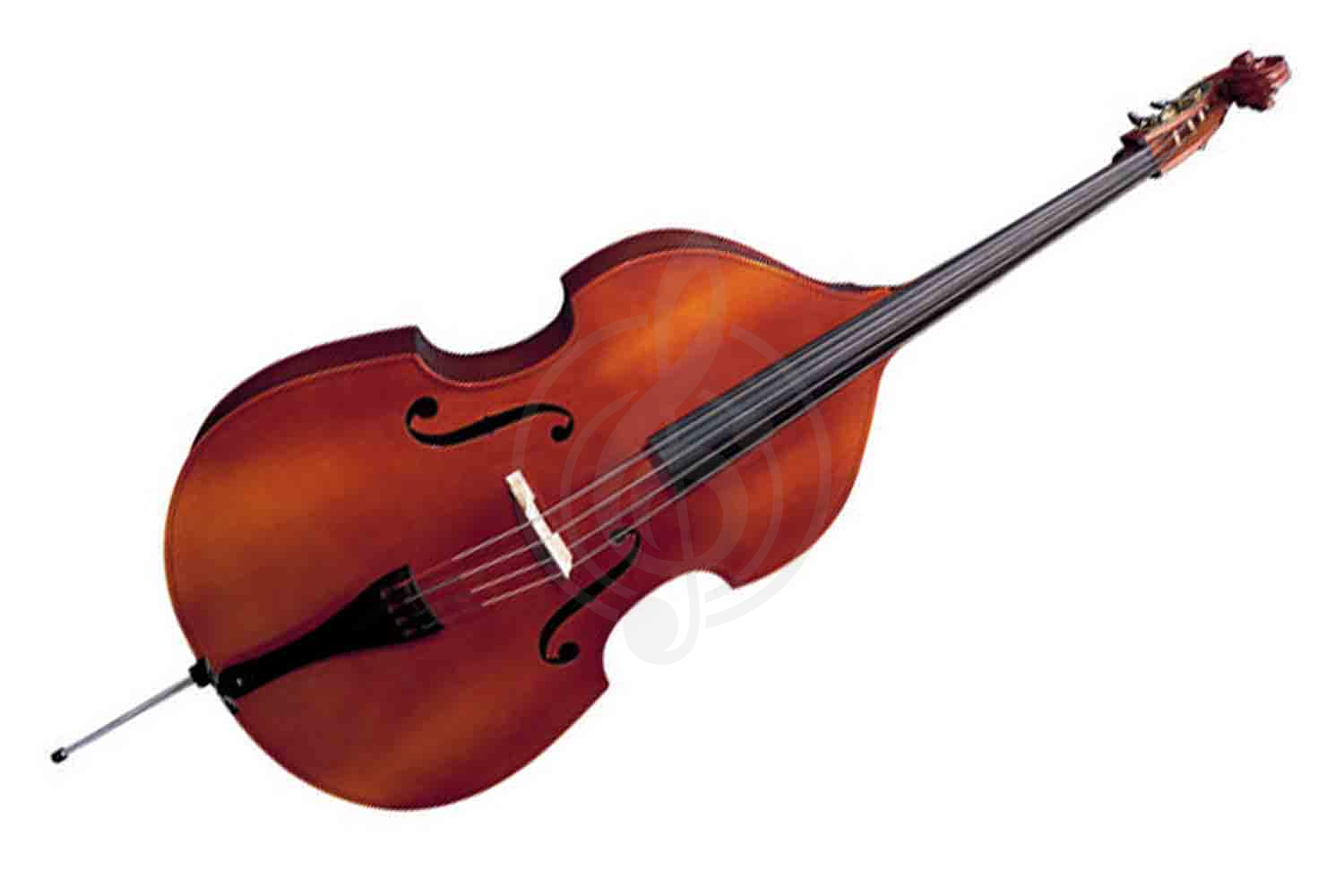 Контрабас 4/4 Strunal 50/4C-4/4 - Контрабас студенческий, Strunal 50/4C-4/4 в магазине Доминанта мьюзик - фото 1