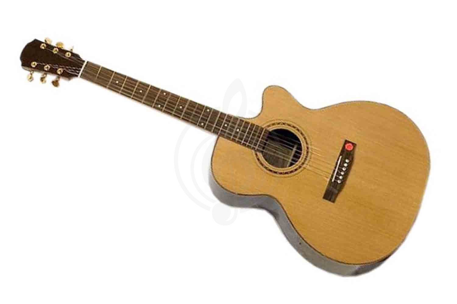 Акустическая гитара Strunal JC977 - Акустическая гитара, Strunal JC977 в магазине DominantaMusic - фото 2
