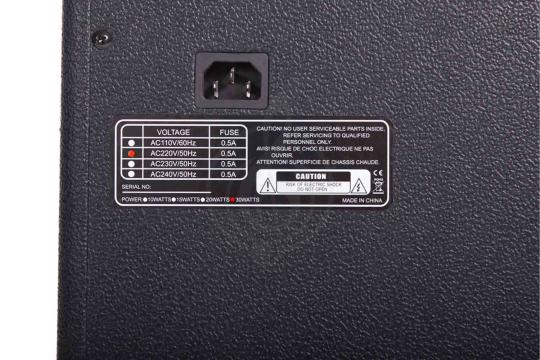 Комбоусилитель для бас-гитары Sunsmile MBS-30-LUN - Комбоусилитель для бас-гитары, Sunsmile MBS-30-LUN в магазине Доминанта мьюзик - фото 2