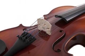 Скрипка 4/4 Скрипки 4/4 Suzuki SUZUKI NS20-OF 4/4 - скрипка, 4/4.Верхняя дека: ель NS20-OF 4/4 - фото 5