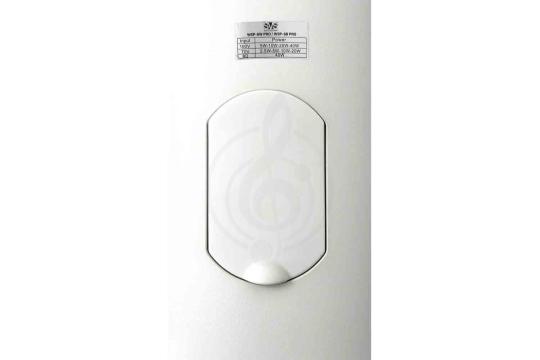 Громкоговоритель настенный SVS Audiotechnik WSP-6W PRO - Трансляционная акустическая система, SVS Audiotechnik WSP-6W PRO в магазине Доминанта мьюзик - фото 2